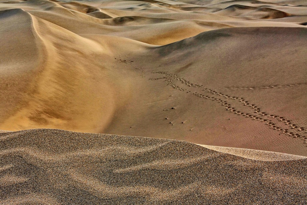 Фото песчаных дюн на Канарских островах.