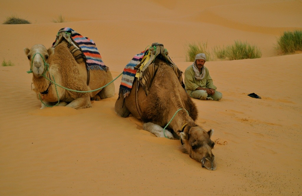 Фото пустыни в Тунисе