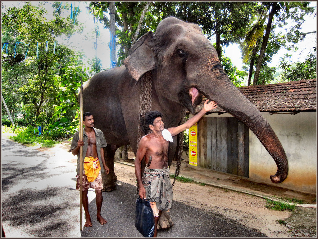 Фото жителей Шри-Ланки