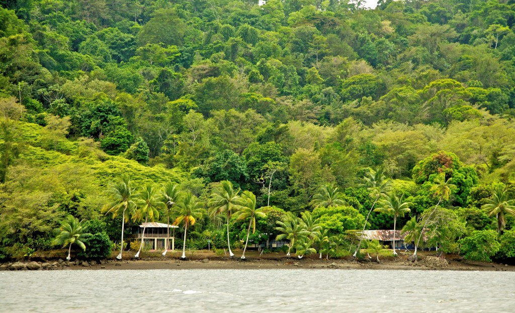 Фото природы Коста-Рики