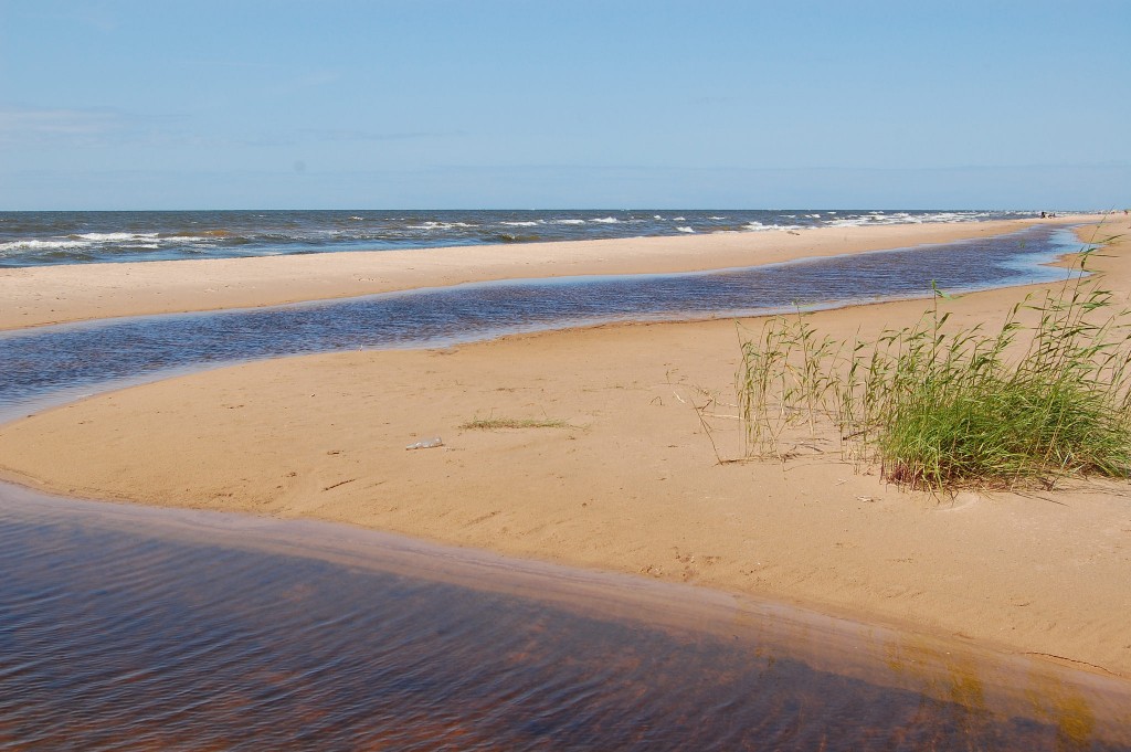 Фото побережья Балтийского моря