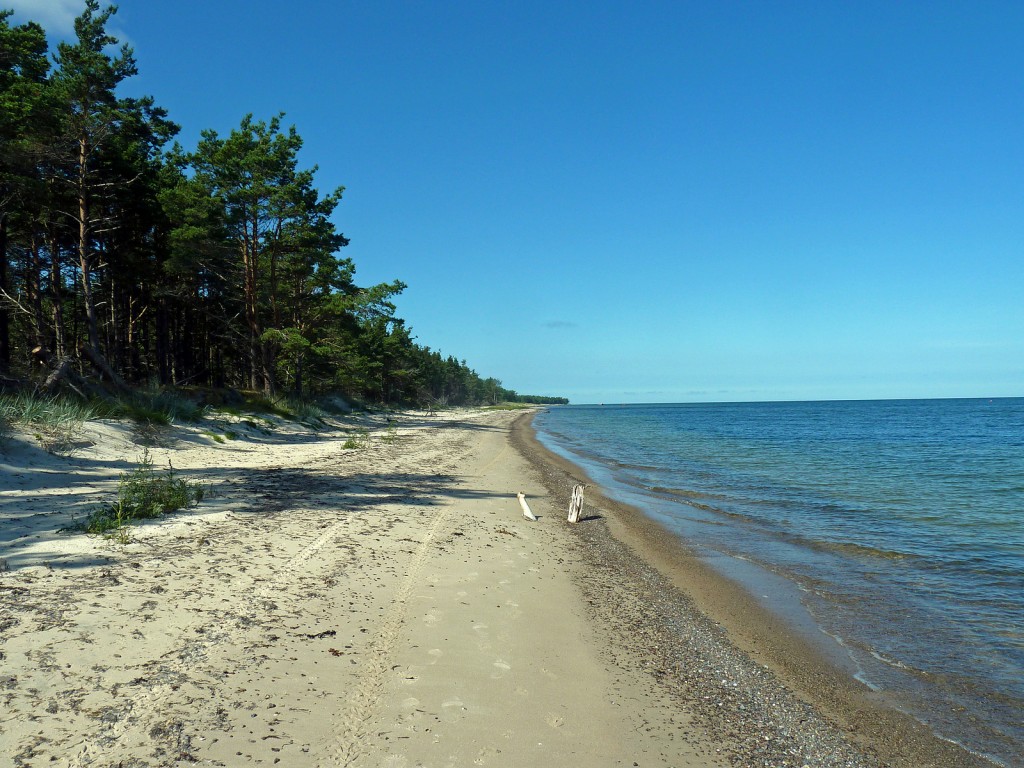 Фото дикого пляжа в Эстонии