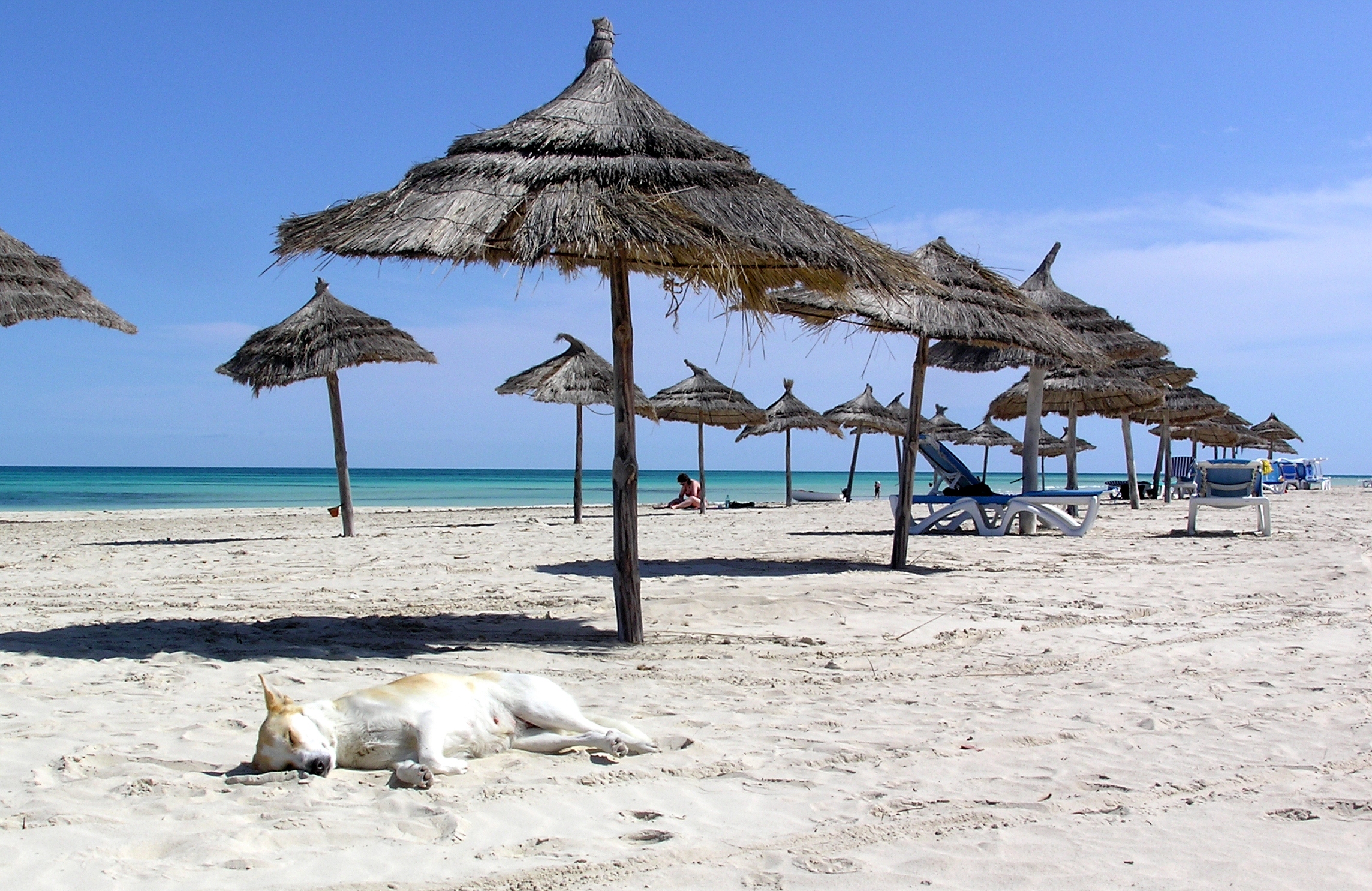 Фото пляжа в Тунисе