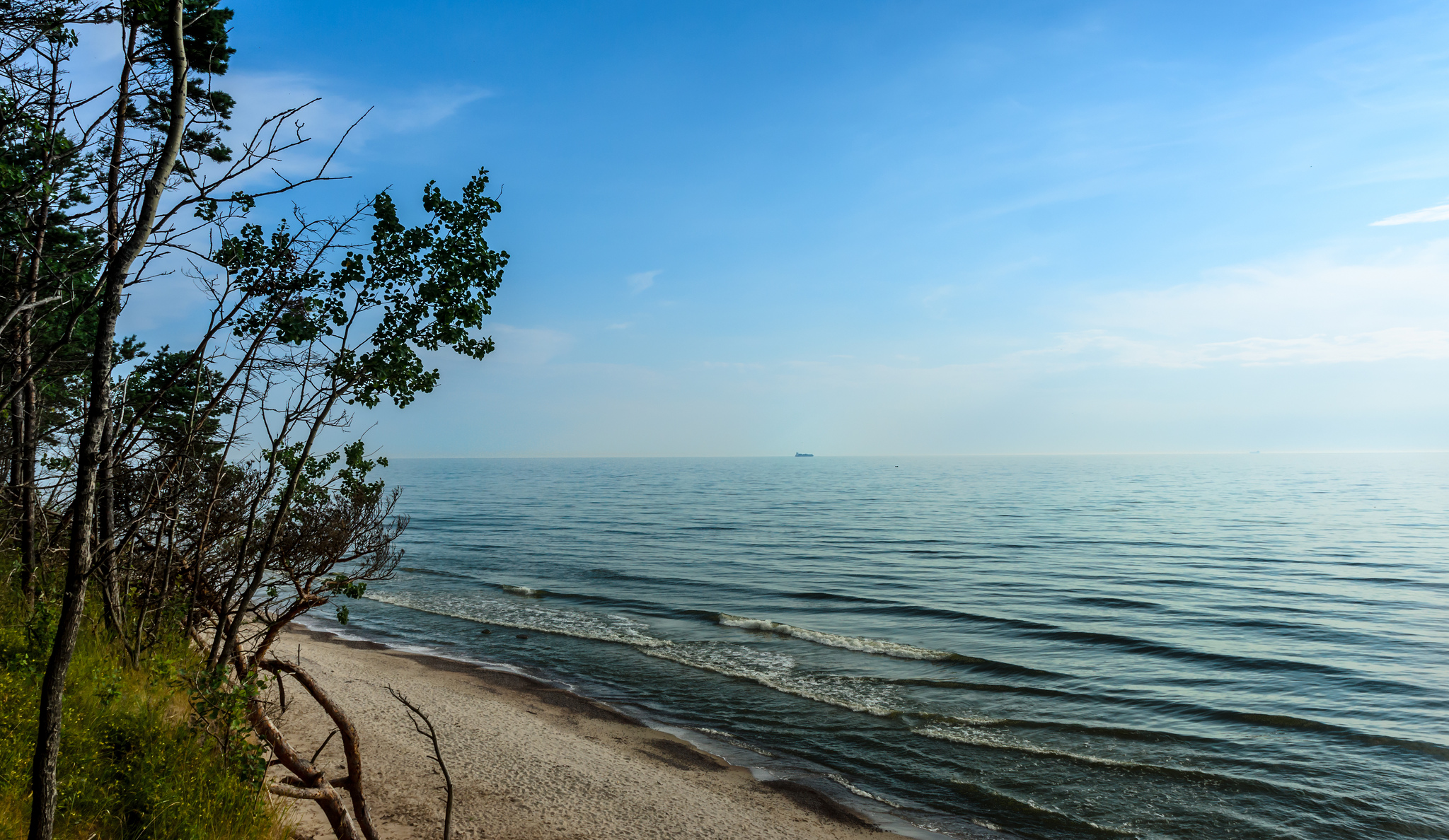 Фото побережья Балтийского моря в районе Паланги.